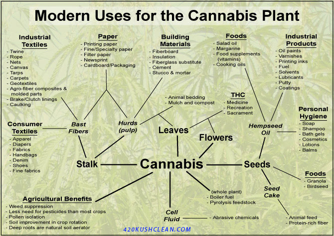 uses-for-cannabis